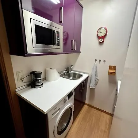 Apartment Estudio En Con Vistas A Pistas De Esqui Y Garaje - Esquia Sin Llaves Formigal