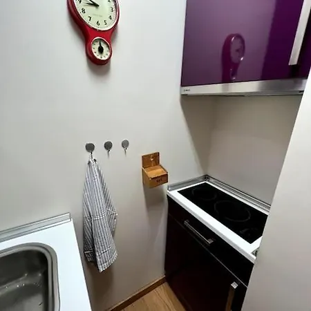 Apartment Estudio En Con Vistas A Pistas De Esqui Y Garaje - Esquia Sin Llaves